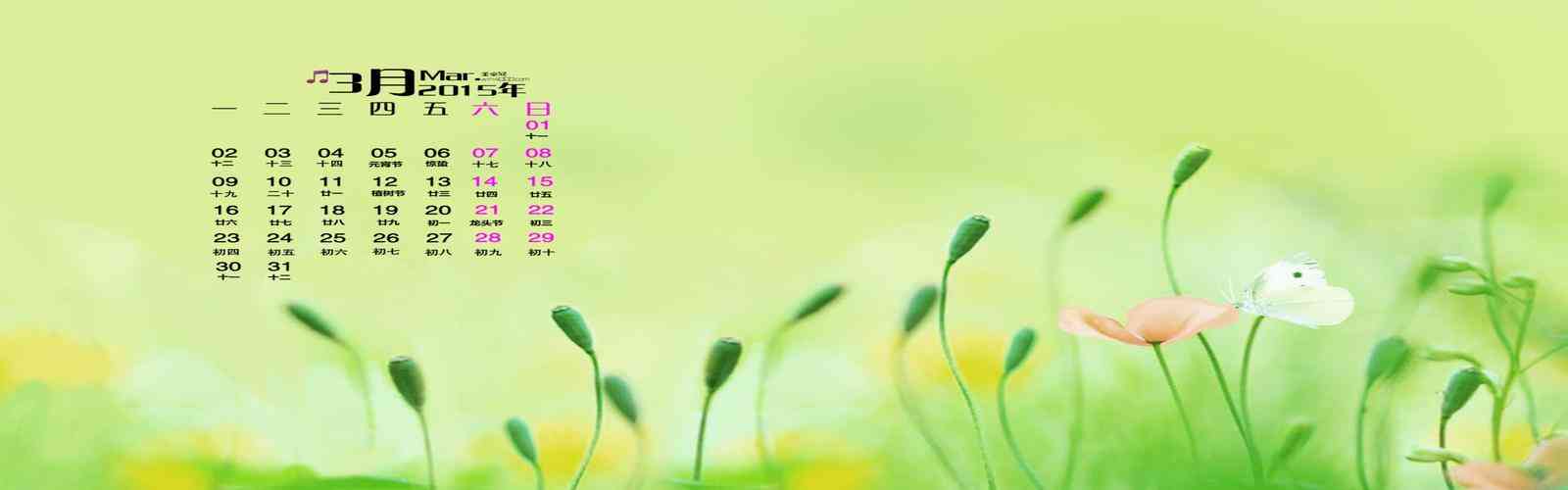 pgsoft